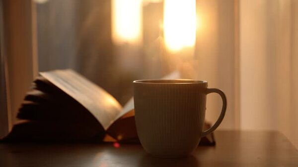 A calm corner with plants and warm indoor light
